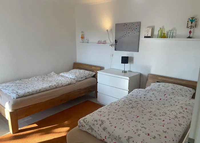 Schaefer 施马伦贝格